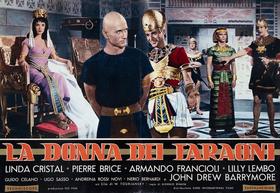 Lobby Card 10