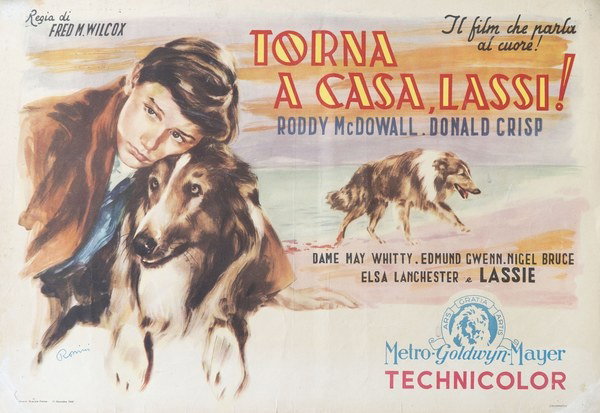Torna a casa Lassie! - Fotobusta 1