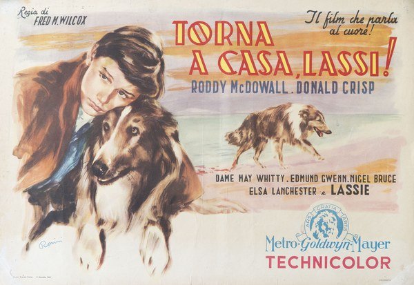 Torna a casa Lassie!