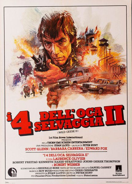 I quattro dell'oca selvaggia II