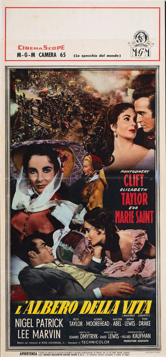 Locandina 2 for the film Raintree County (1957)