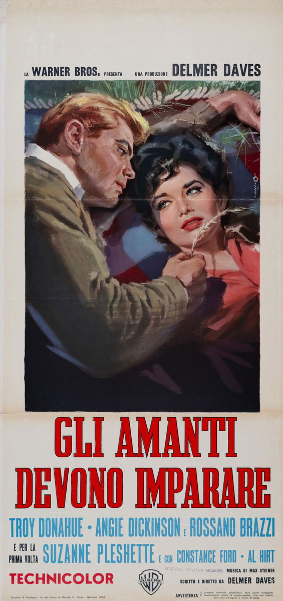 Gli amanti devono imparare - Locandina 1