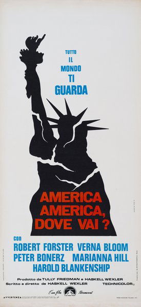 America, America, dove vai?