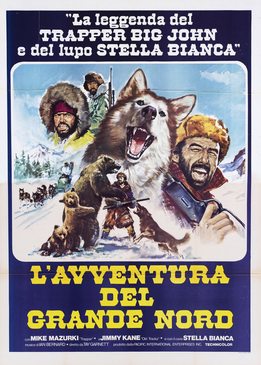 Poster 2 for the film Challenge to be Free (1975)