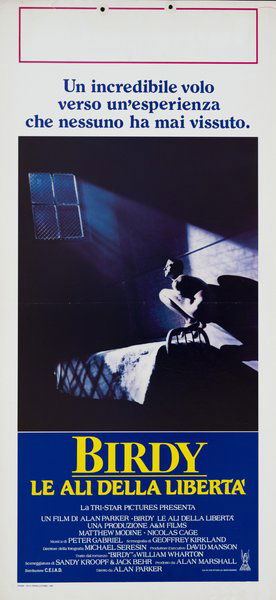 Birdy - Le ali della libertà