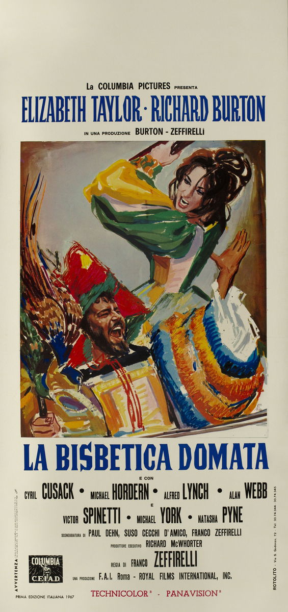 La bisbetica domata - Locandina 1