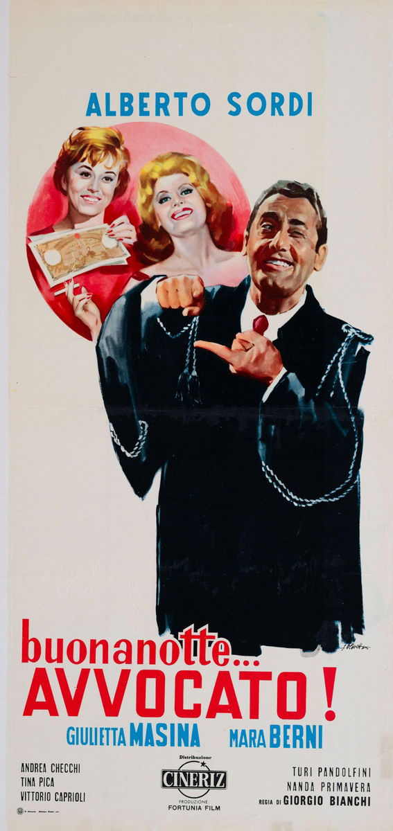 Buonanotte... avvocato! - Locandina 1