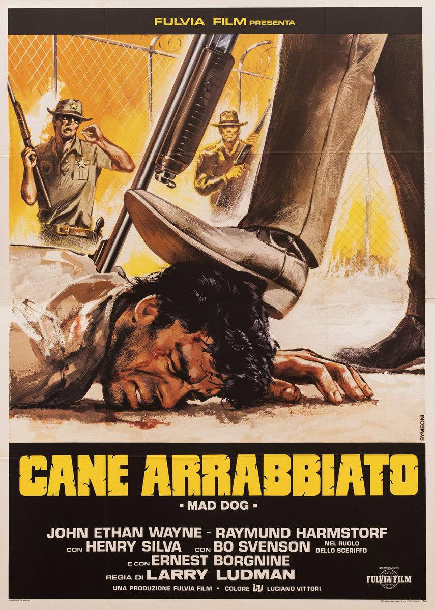 Manifesto 2 per il film Cane arrabbiato (1984), dipinto da Sandro Simeoni (Symeoni)