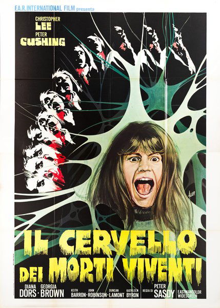 Il cervello dei morti viventi