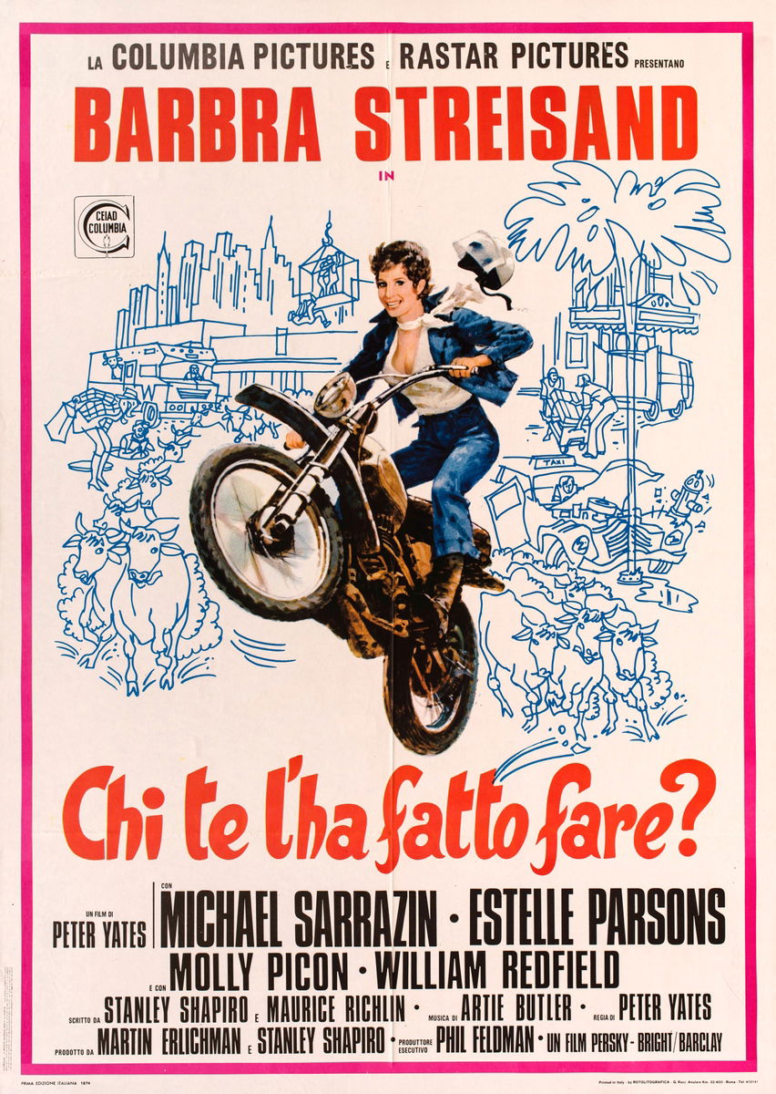 Chi te l'ha fatto fare? - Manifesto 1