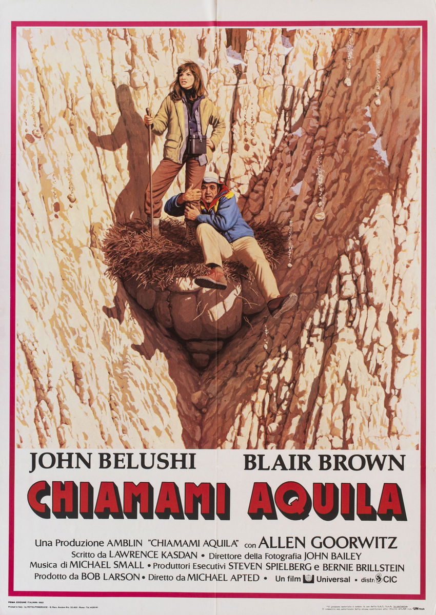 Chiamami aquila - Manifesto 1