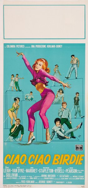 Bye Bye Birdie