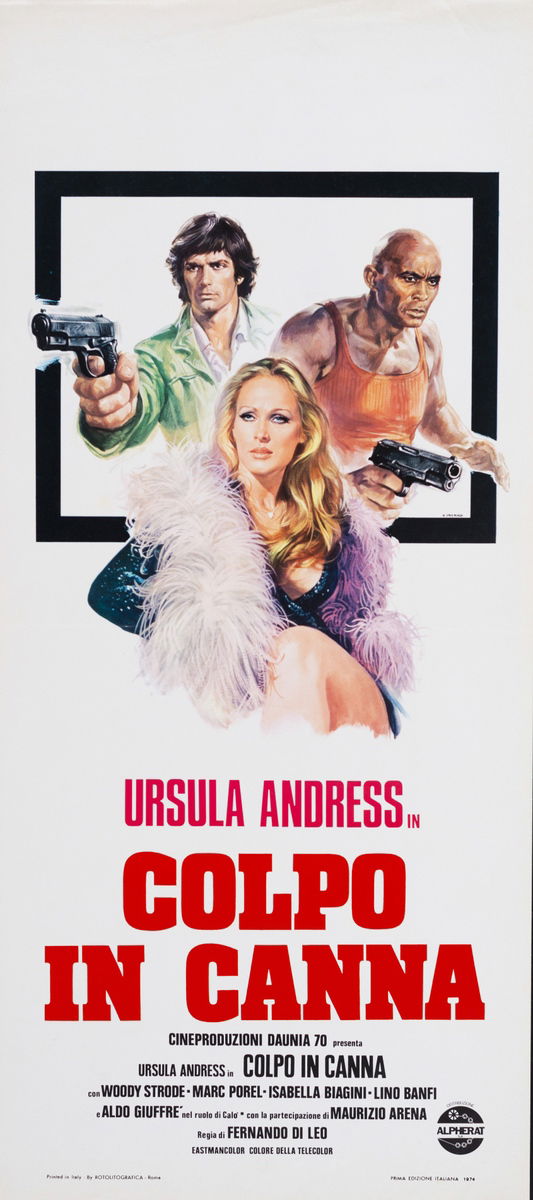 Colpo in canna - Locandina 1