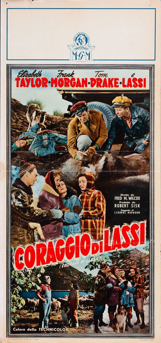 Il coraggio di Lassie - Locandina 1