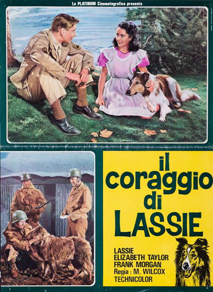 Courage of Lassie