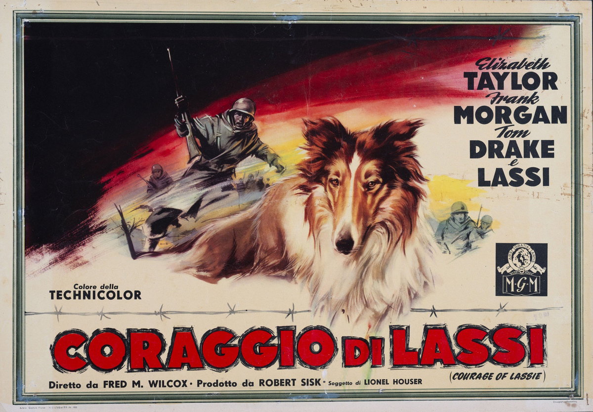 Lobby Card 2 for the film Courage of Lassie (1946)