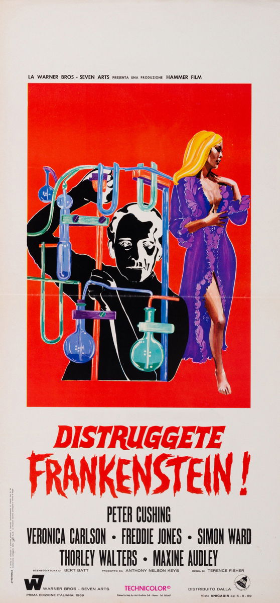 Distruggete Frankenstein! - Locandina 1