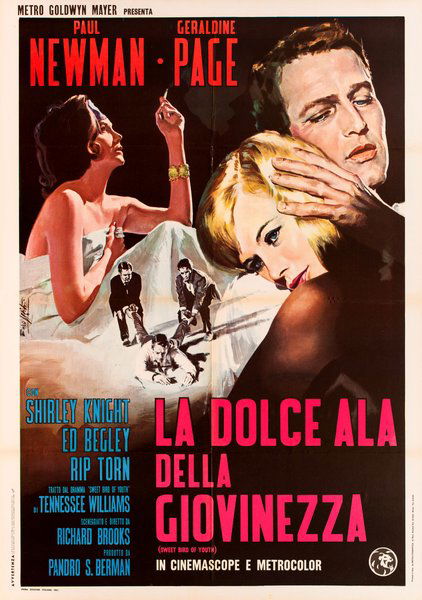 La dolce ala della giovinezza