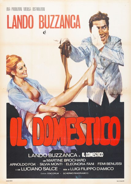 Il domestico