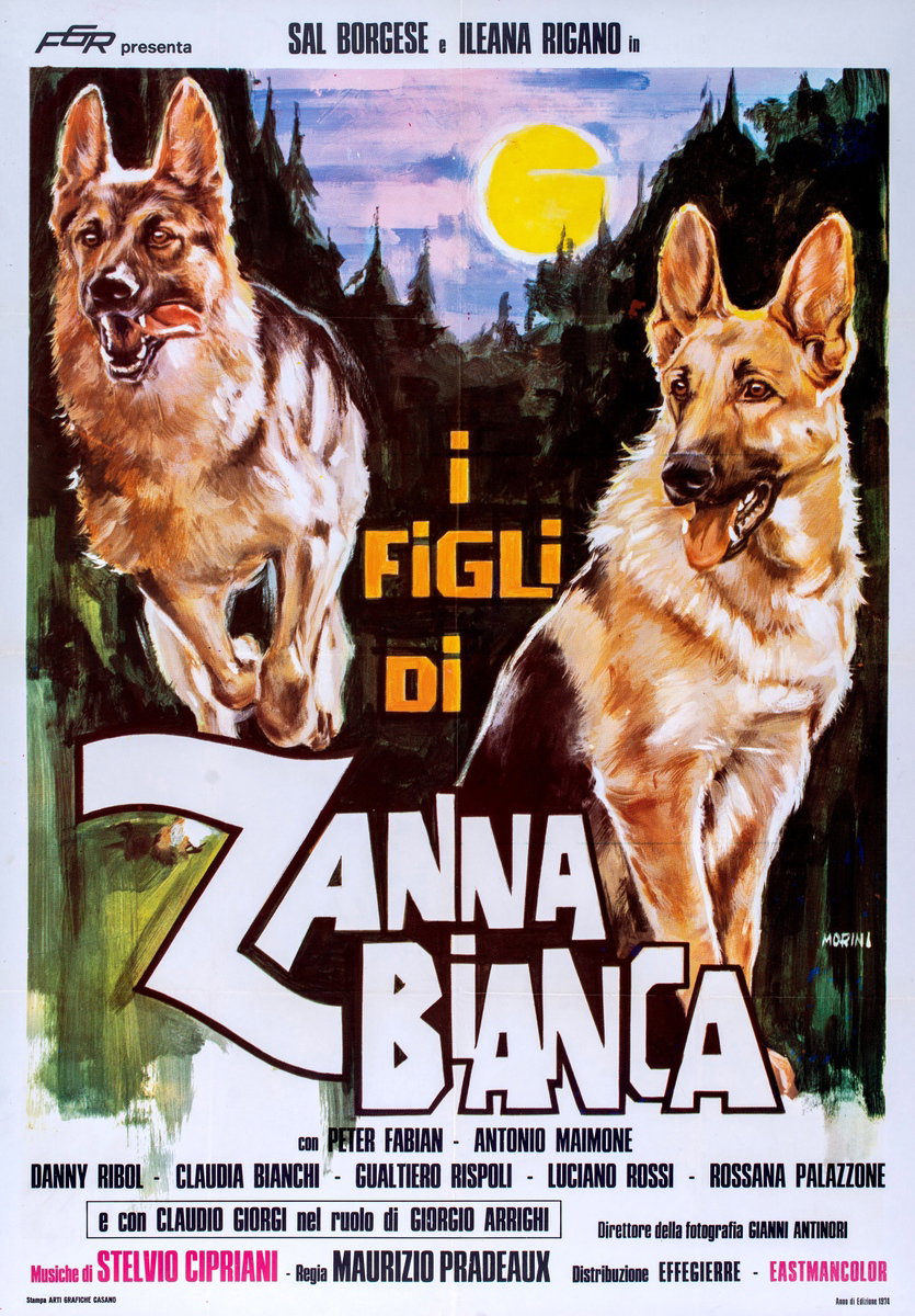 Manifesto 2 per il film I figli di Zanna Bianca (1974)