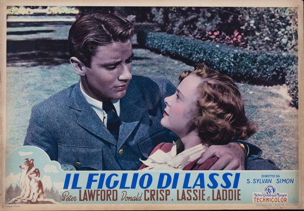 Il figlio di Lassie