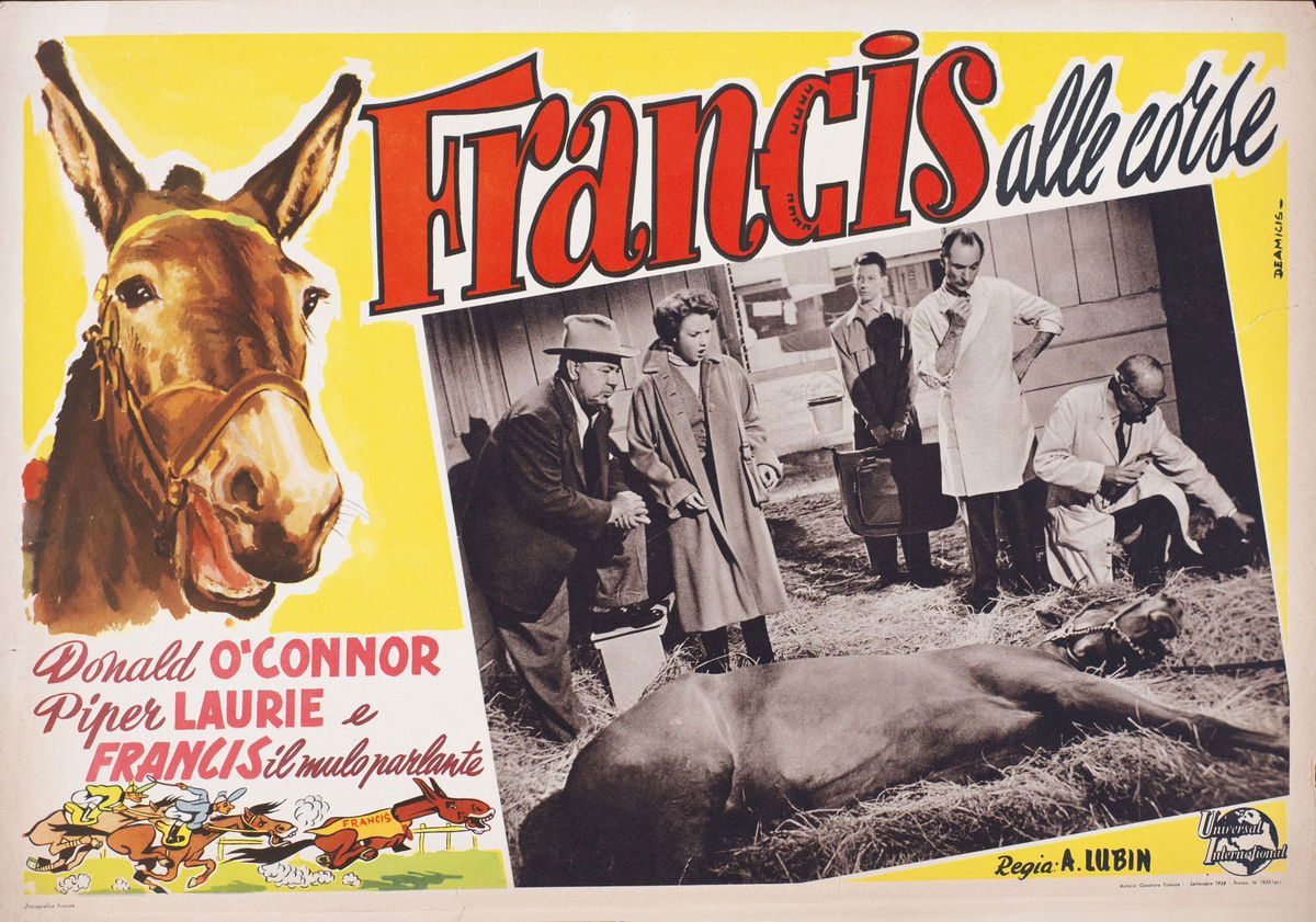 Francis alle corse - Fotobusta 1