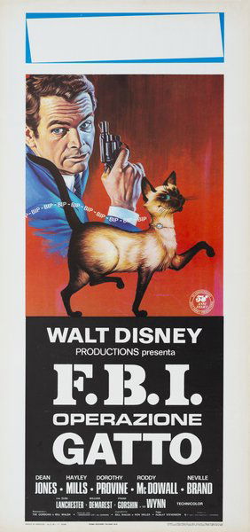 F.B.I. operazione gatto
