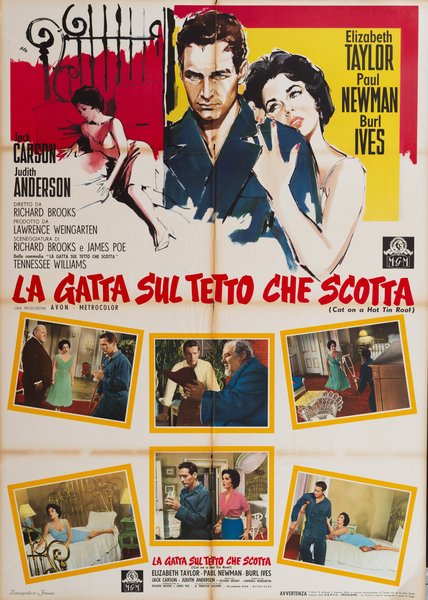 La gatta sul tetto che scotta