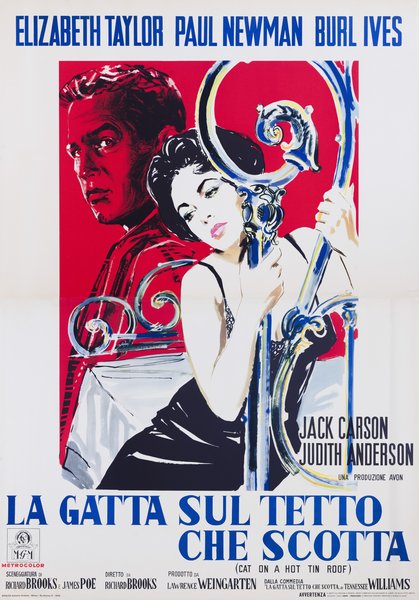 La gatta sul tetto che scotta