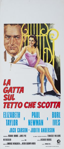 La gatta sul tetto che scotta