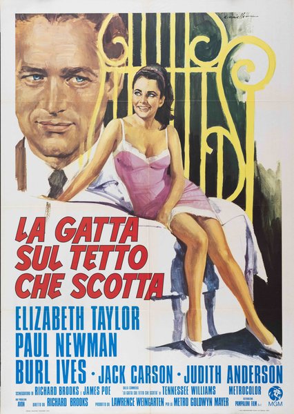 La gatta sul tetto che scotta