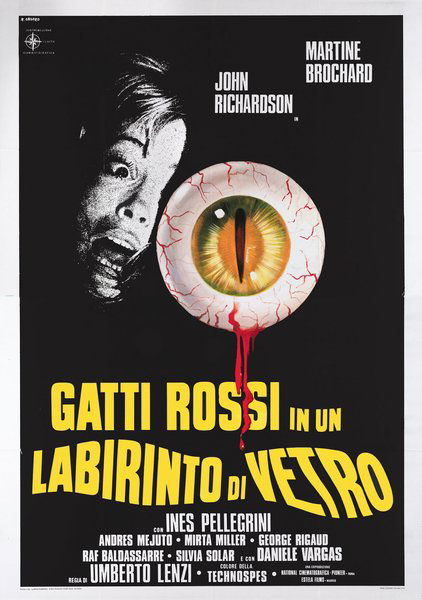 Gatti rossi in un labirinto di vetro