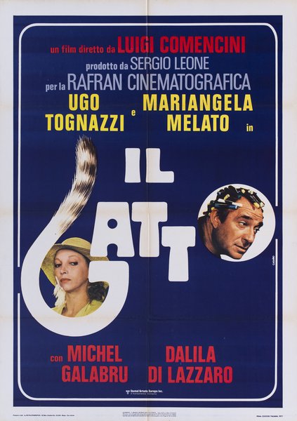 Il gatto