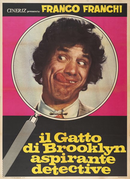 Il Gatto di Brooklyn aspirante detective