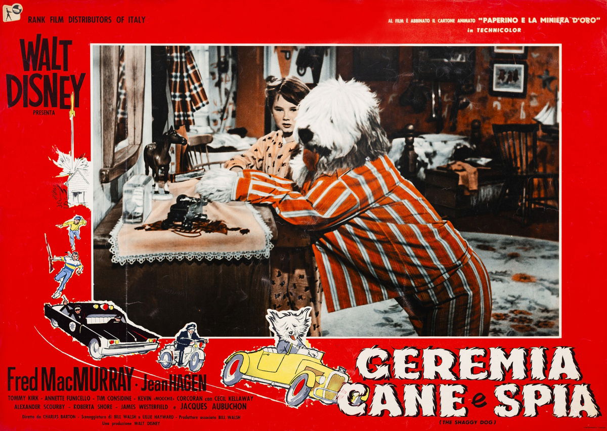 Geremia, cane e spia - Fotobusta 1