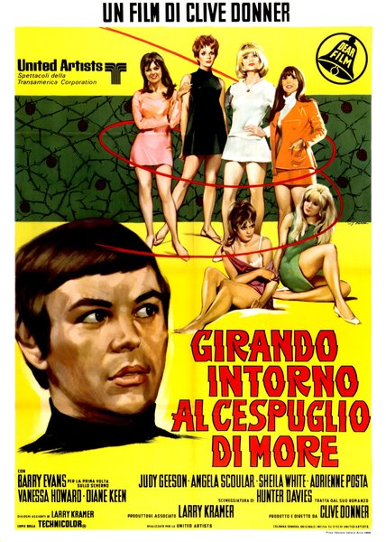 Girando intorno al cespuglio di more