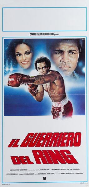 Il guerriero del ring