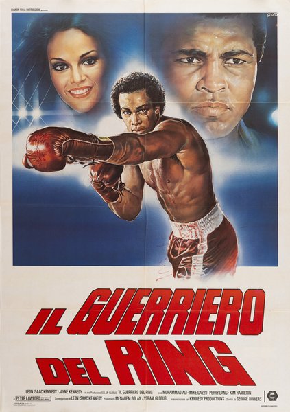 Il guerriero del ring