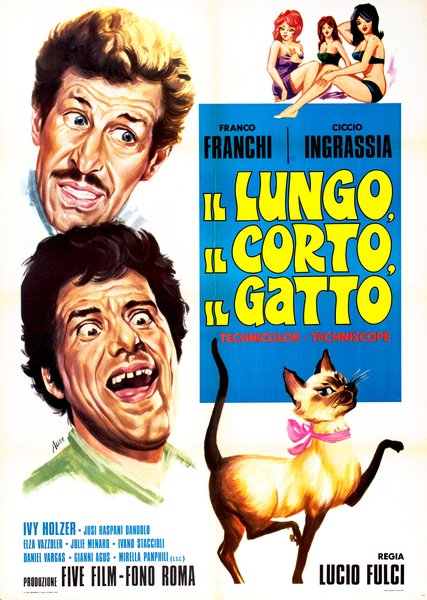 Il lungo, il corto, il gatto