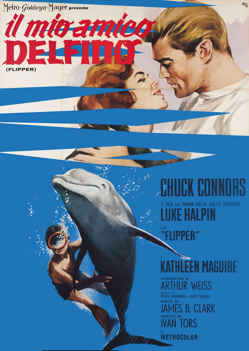 Il mio amico delfino - Poster 1