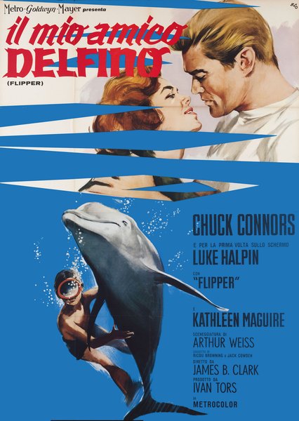 Il mio amico delfino