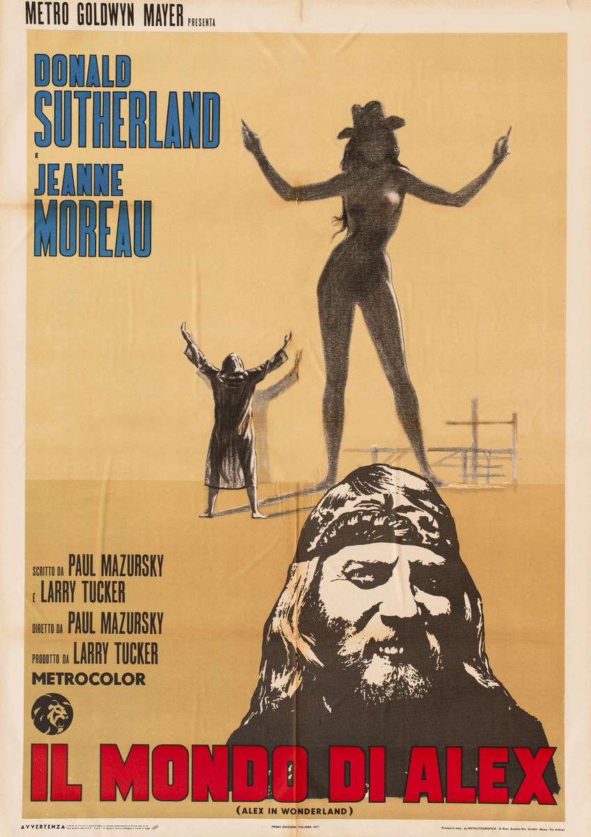 Alex in Wonderland - Poster 1