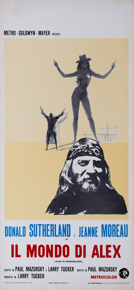 Il mondo di Alex - Locandina 1