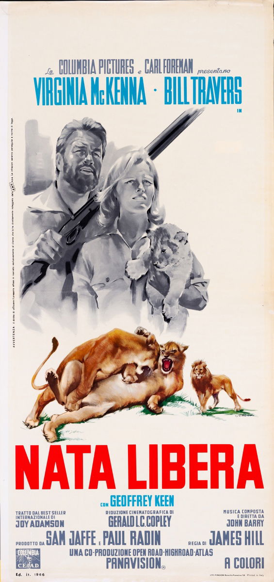 Born Free - Lobby Card 1