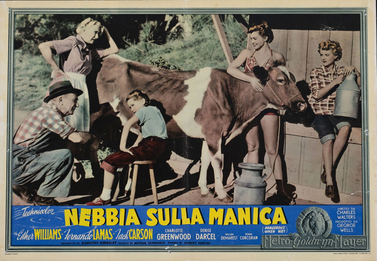 Nebbia sulla Manica - Fotobusta 1