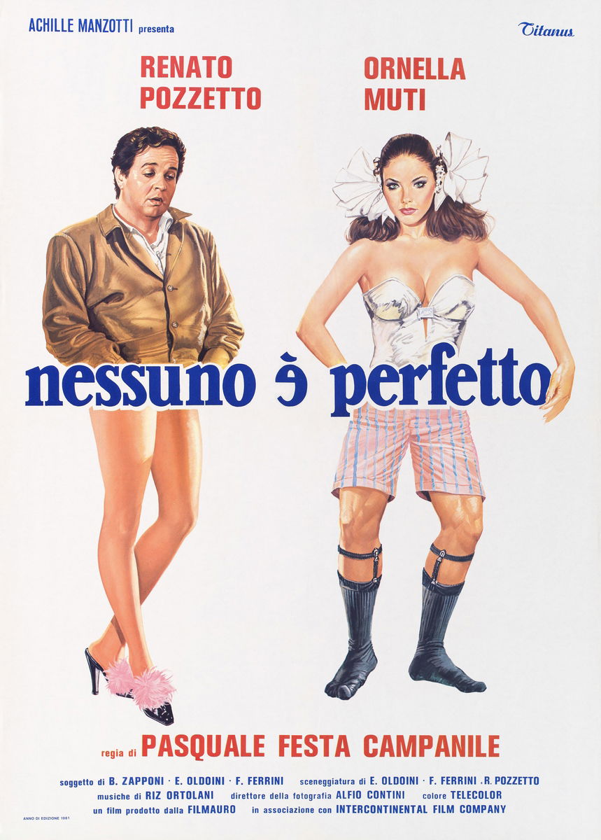 Nobody's Perfect - Poster 1