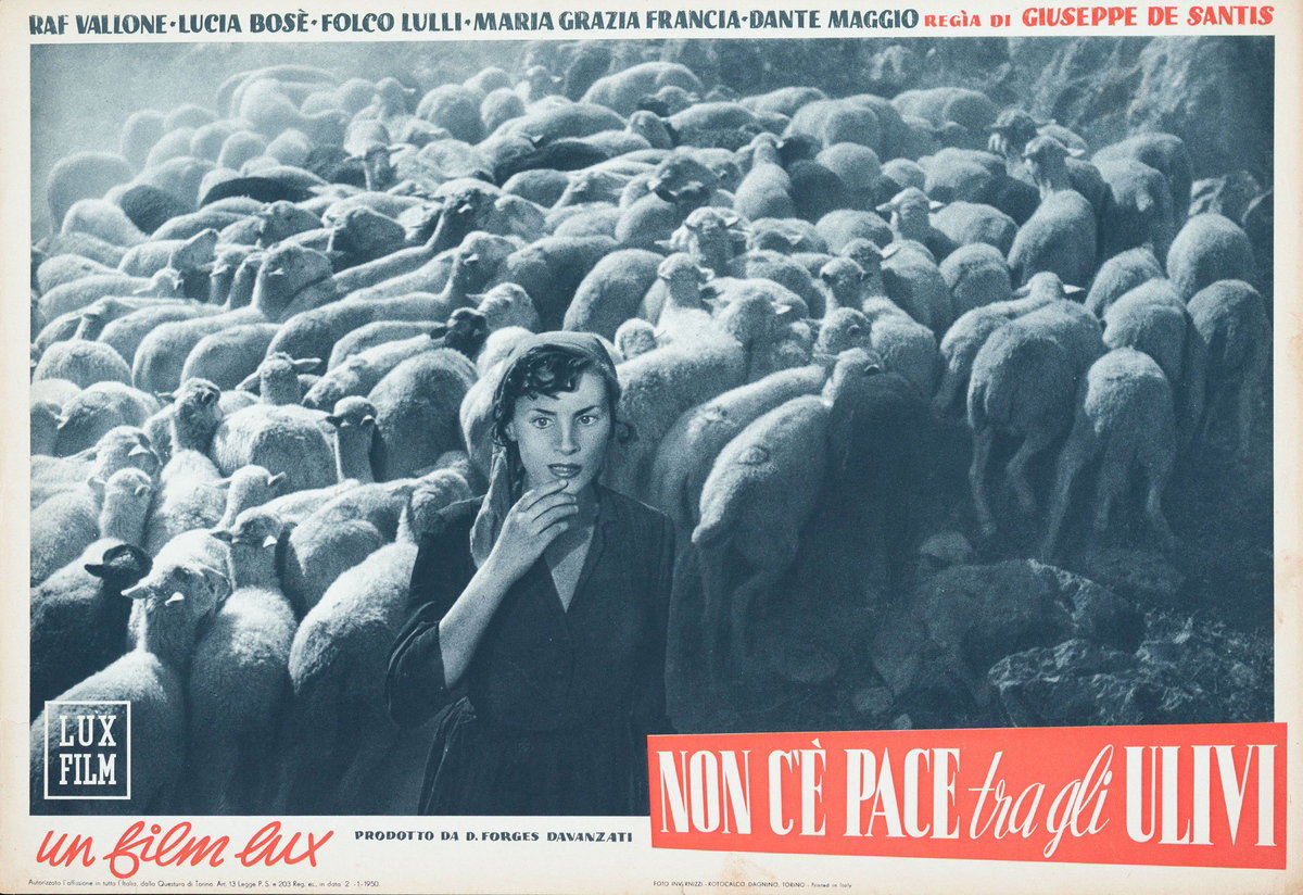 Fotobusta 2 per il film Non c'è pace tra gli ulivi (1950)