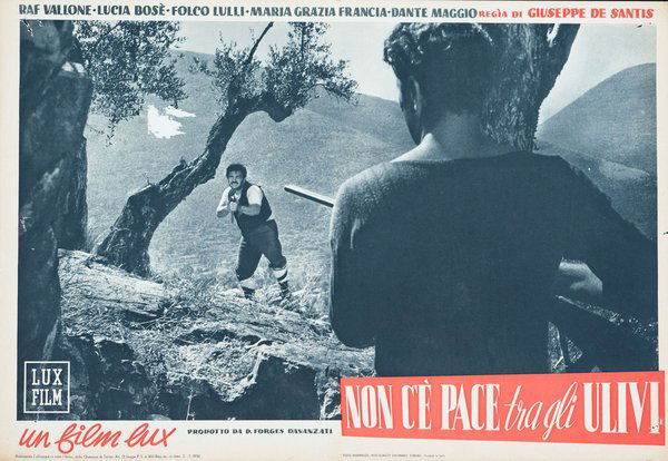 Under the Olive Tree