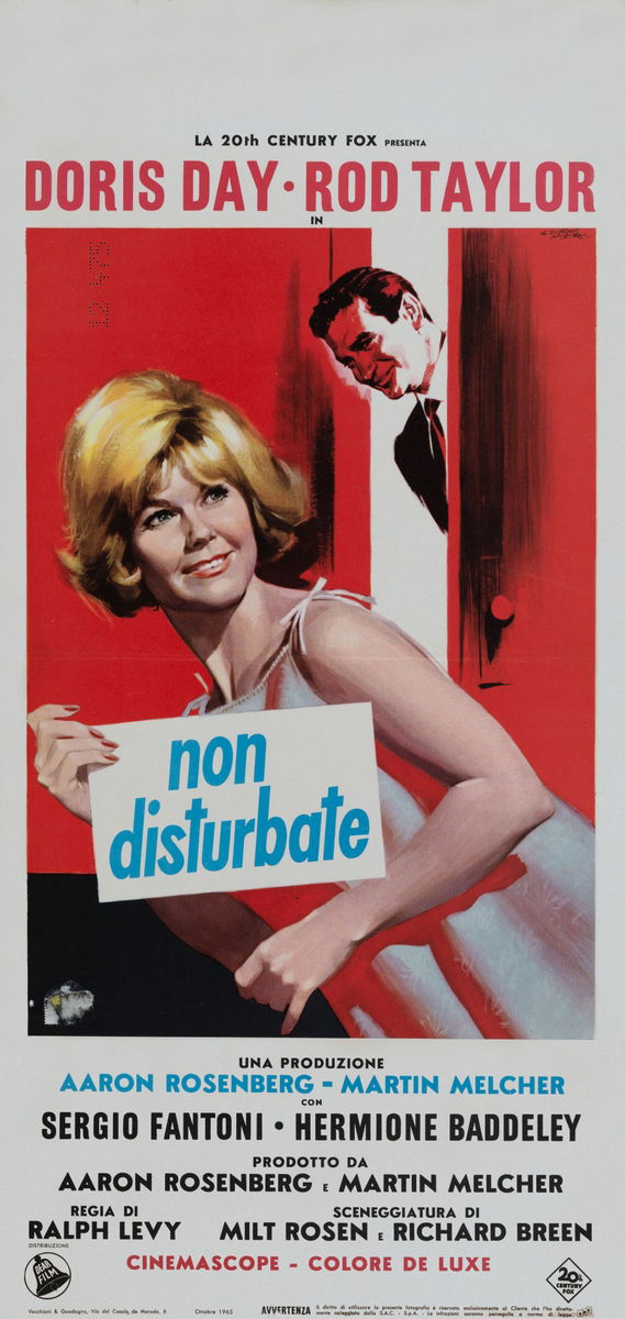 Non disturbate - Locandina 1