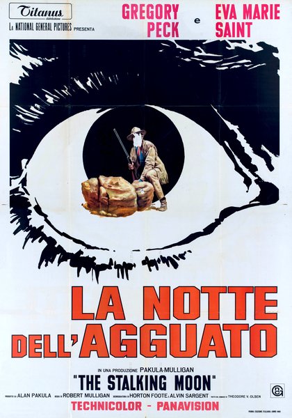 La notte dell'agguato